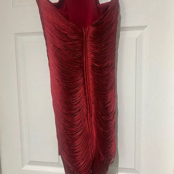 Zara Fringe Dress - Picture 3 of 9